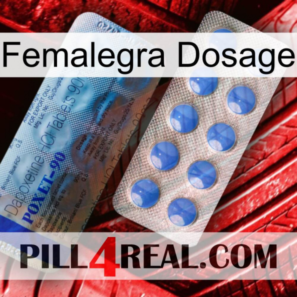 Femalegra Dosage 40.jpg